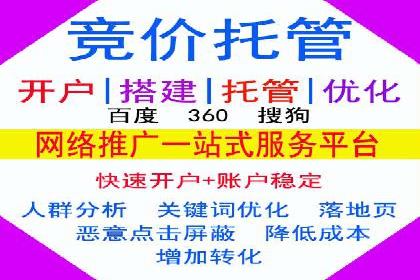 案例研究：如何通过竞价广告实现精准营销